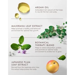 Moroccanoil Scalp Revitalizing Scalp Tonic 100 ml