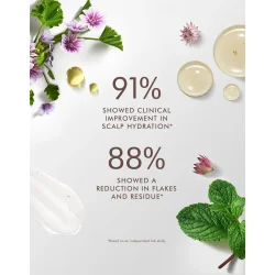 Moroccanoil Scalp Shampoo 250 ml.